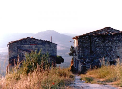 “Rinascita”