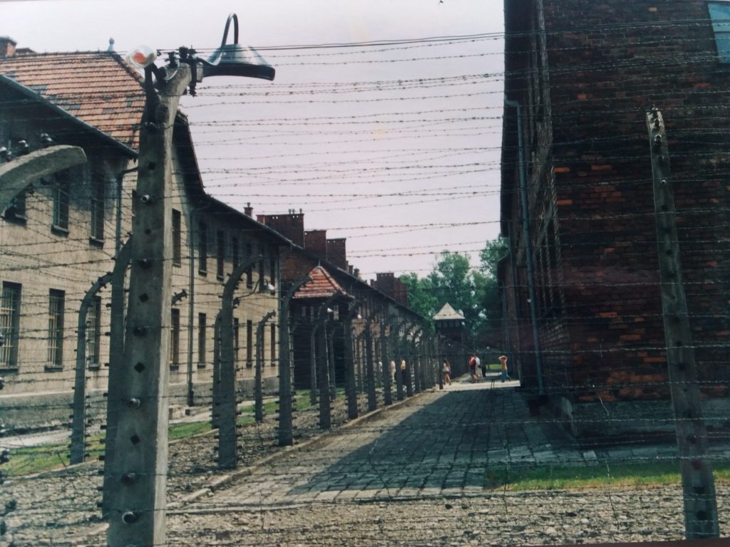 Shoah, Olocausto, Sterminio degli Ebrei, Auschwitz.