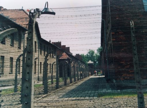 Shoah, Olocausto, Sterminio degli Ebrei, Auschwitz.