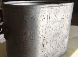 TESTIMONIANZE DEL PASSATO E RICERCA STORICA (5A primaria Lioni)