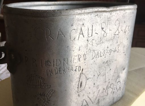 TESTIMONIANZE DEL PASSATO E RICERCA STORICA (5A primaria Lioni)
