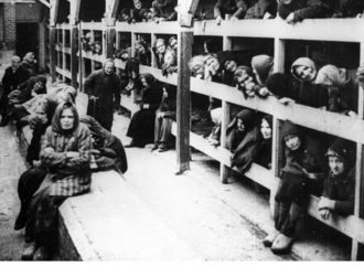 Hitler e il nazismo