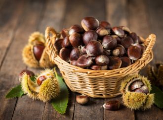 La castagna, tesoro d’Irpinia (classe 2a sez. A primaria Lioni)