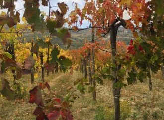 L’AUTUNNO IN IRPINIA