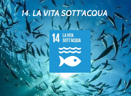 L’AGENDA 2030: LA TUTELA DEI MARI E DEGLI OCEANI