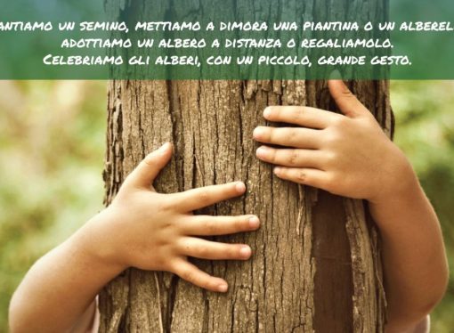 Giornata nazionale degli Alberi e Festa degli Alberi.