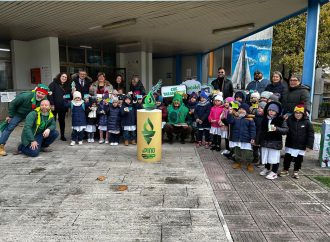 Adesione al progetto “IL PINO IRPINO” – La solidarietà indossa le tue scarpe