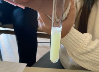 Estrazione del DNA da un frutto – Scuola Secondaria di 1° Grado – Lioni