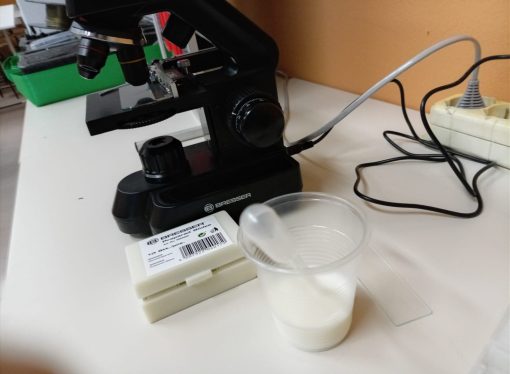Il latte studiato al microscopio!
